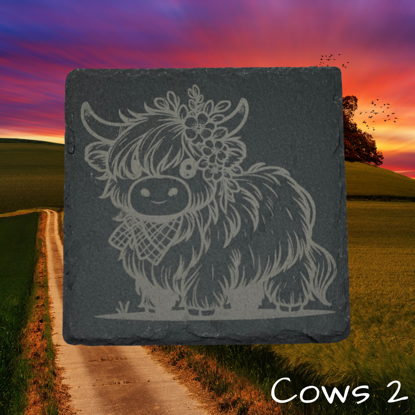Highland Cow Coasters 2