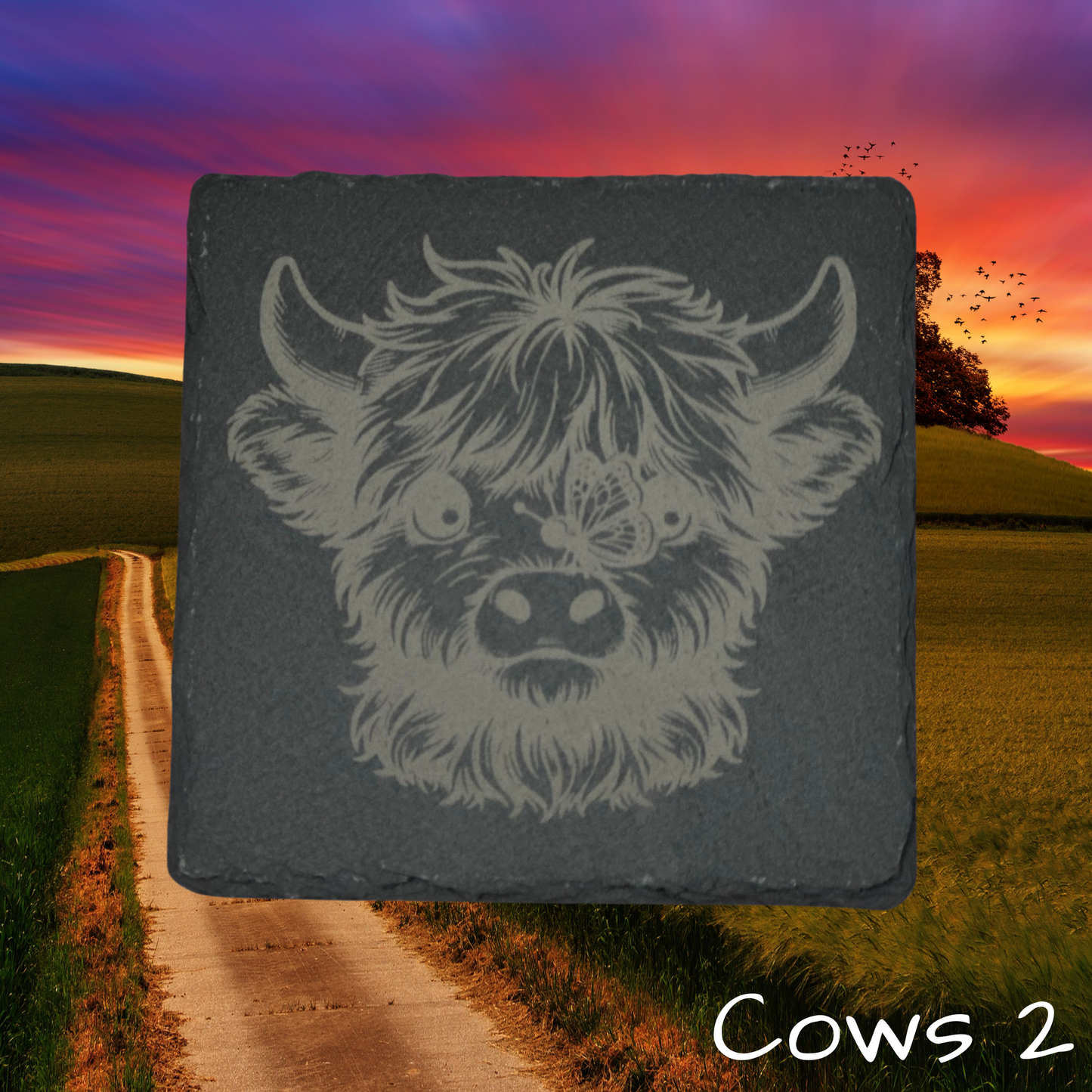 Highland Cow Coasters 2
